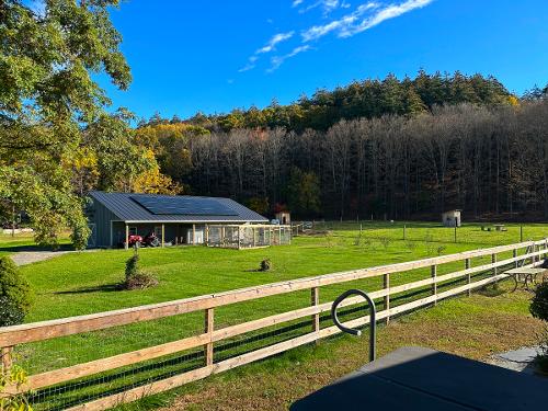 Barn from backyard